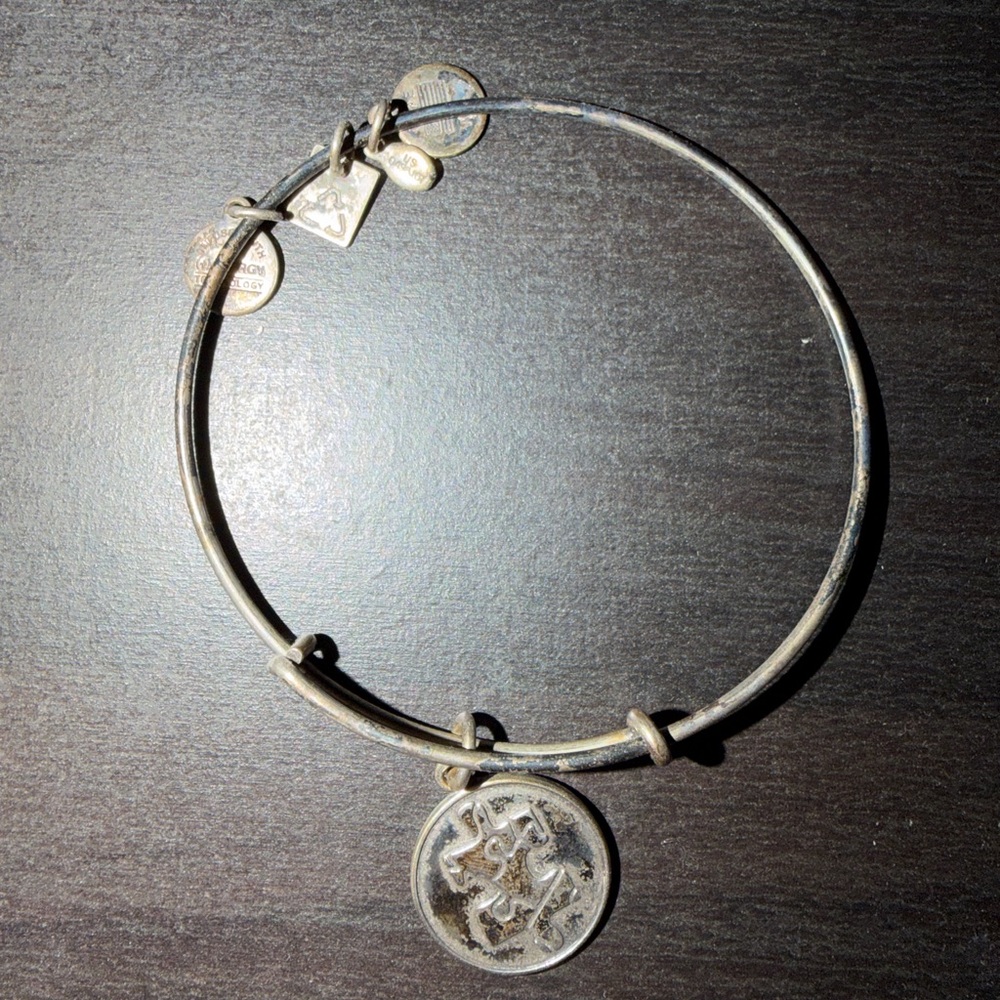 Alex and ani Silver autism awareness Charm Bangle Bracelet